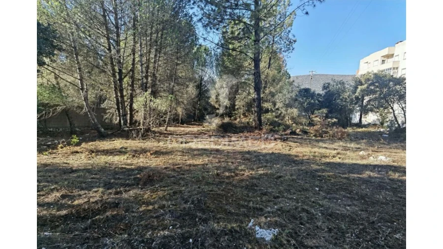 Terreno para Venda em Minde Foto 13