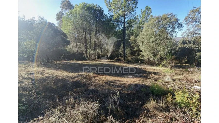 Terreno para Venda em Minde Foto 16