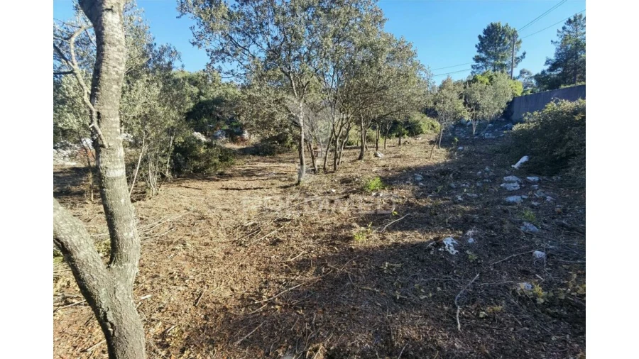 Terreno para Venda em Minde Foto 14