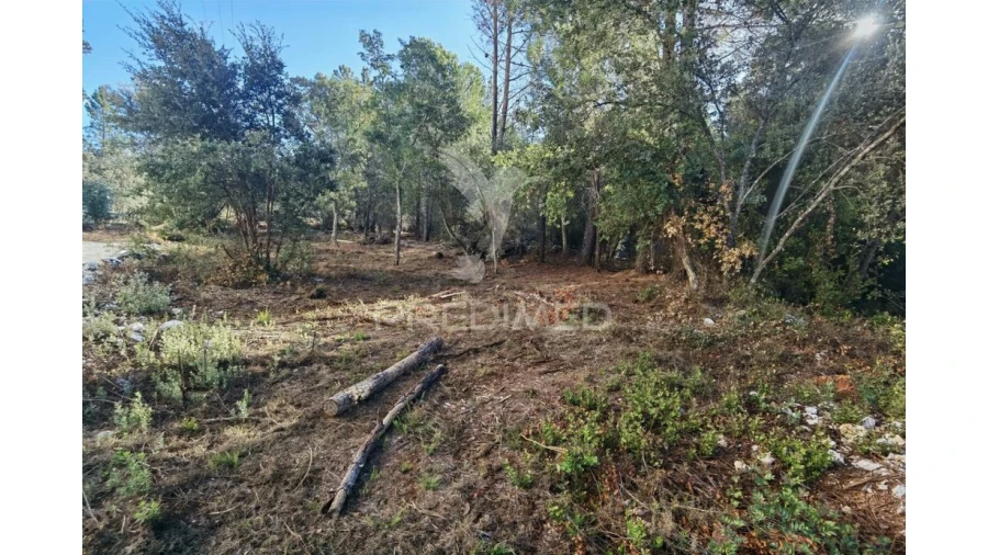 Terreno para Venda em Minde Foto 7