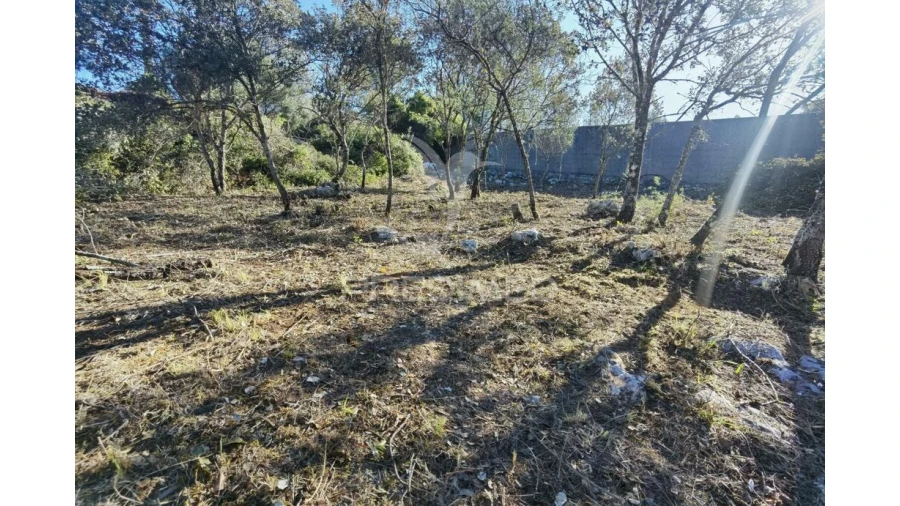 Terreno para Venda em Minde Foto 15