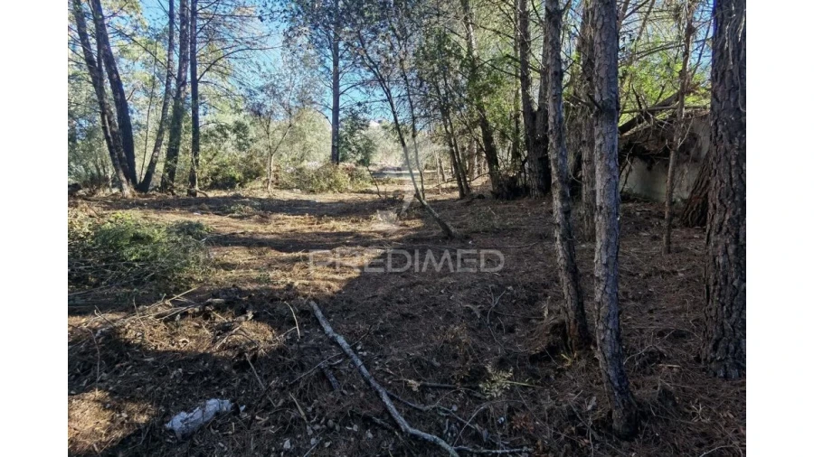 Terreno para Venda em Minde Foto 10