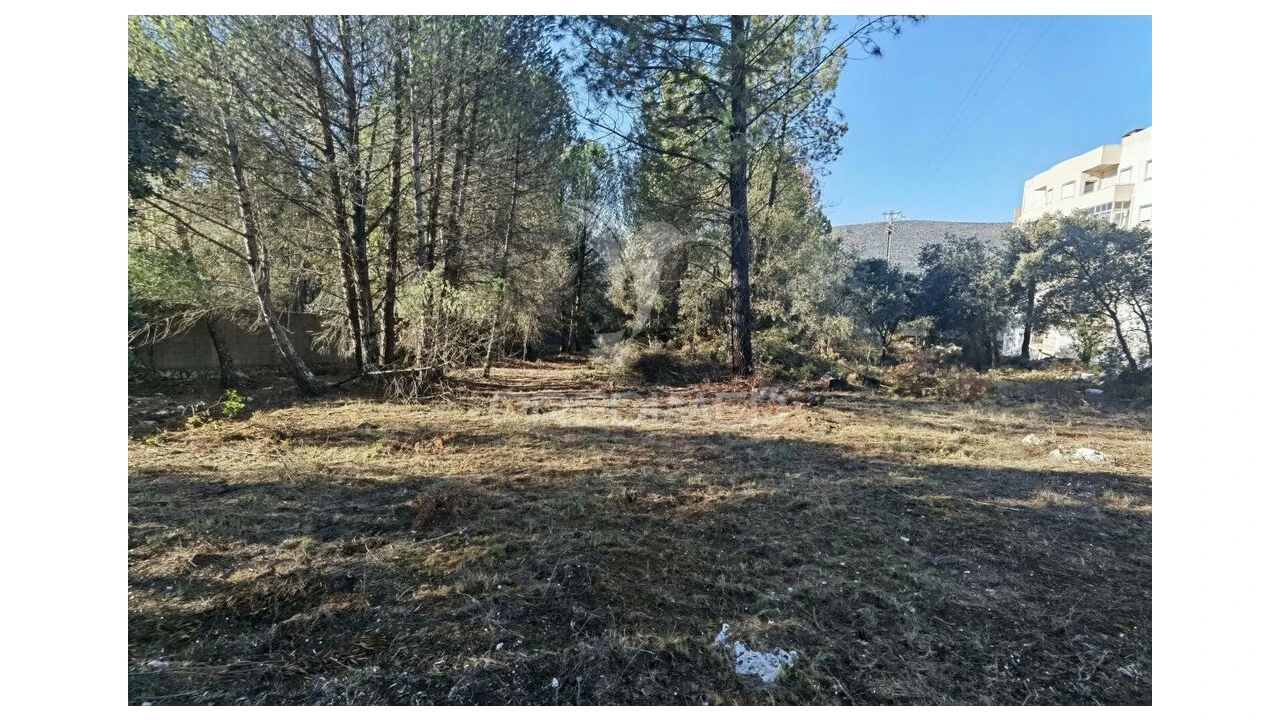 Terreno para Venda em Minde Foto 13