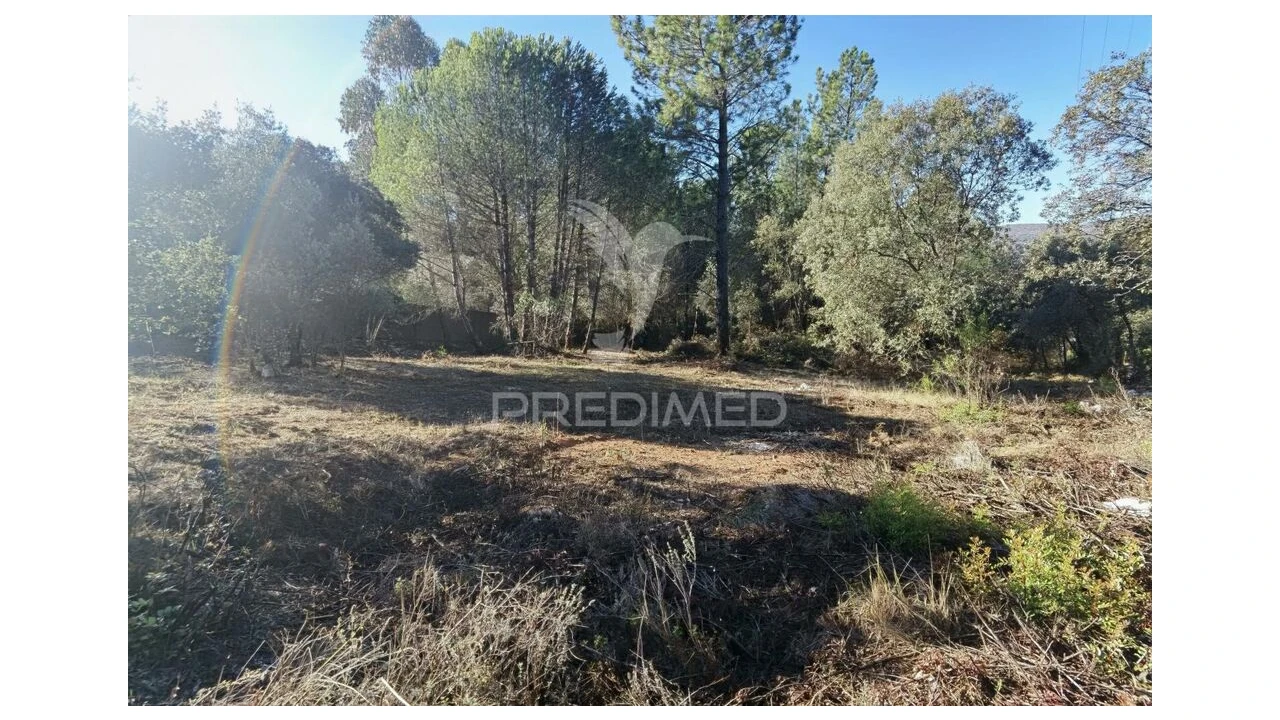 Terreno para Venda em Minde Foto 16