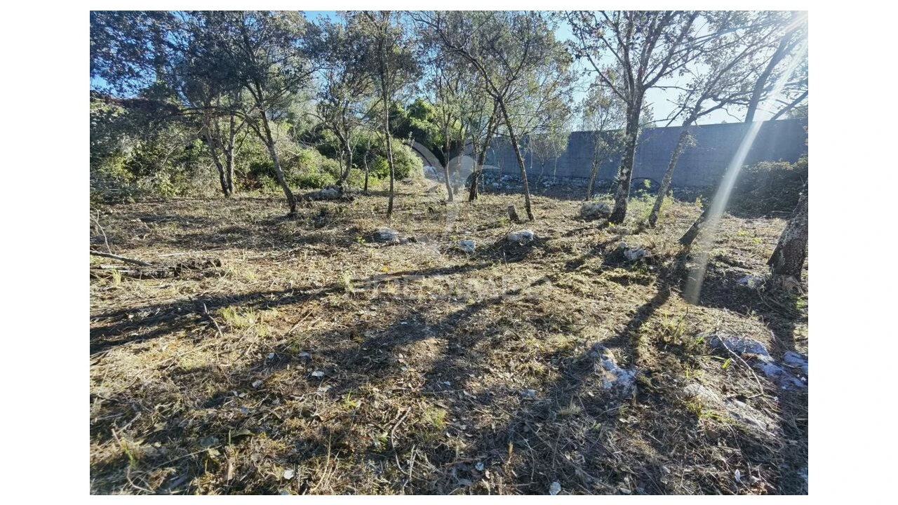 Terreno para Venda em Minde Foto 15