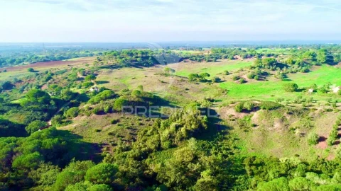 Terreno para Venda em Melides