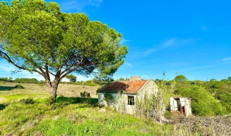 Terreno para Venda em Melides