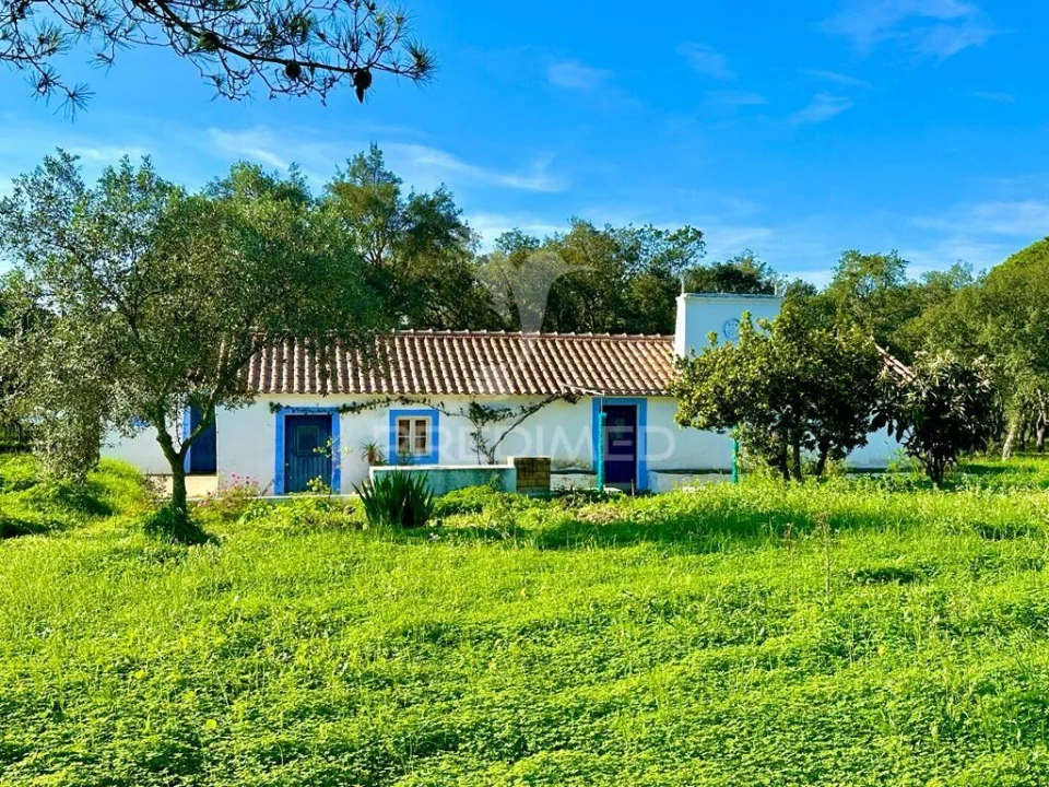 Terreno para Venda em Melides Foto 12