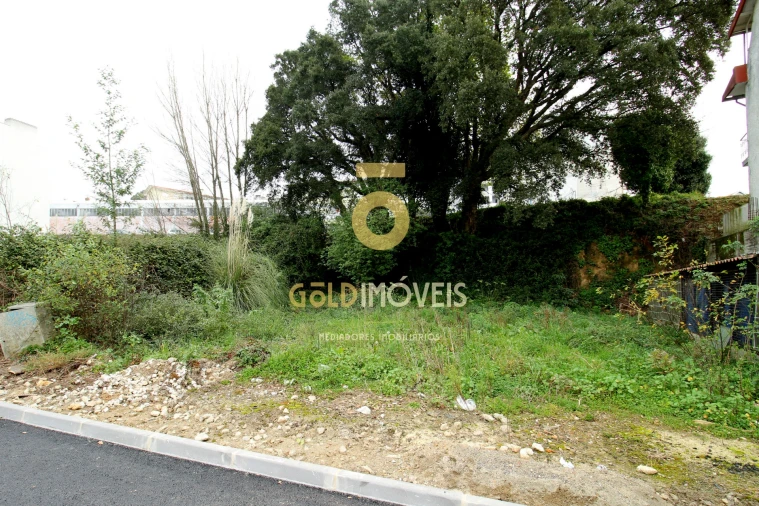 Terreno para Venda em O. Azeméis, Riba-Ul, Ul, Macinhata Seixa, Madail Foto 3