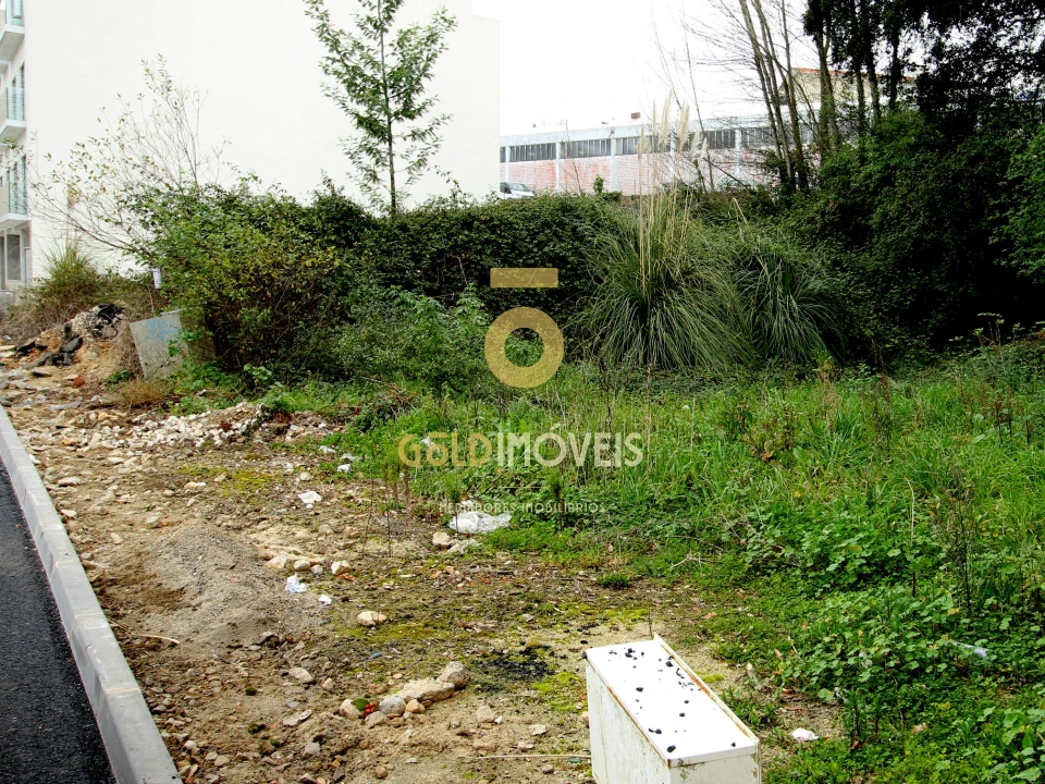 Terreno para Venda em O. Azeméis, Riba-Ul, Ul, Macinhata Seixa, Madail Foto 1