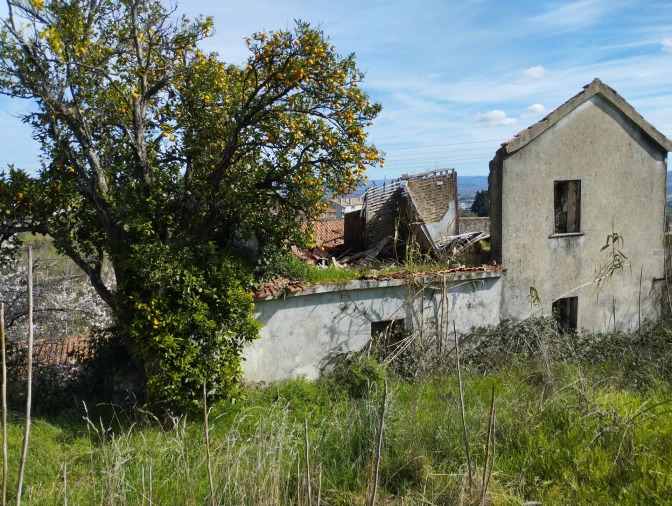 Terreno para Venda em Covilhã e Canhoso Foto 16