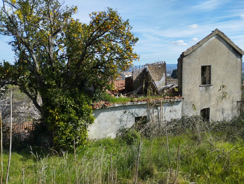 Terreno para Venda em Covilhã e Canhoso Foto 16