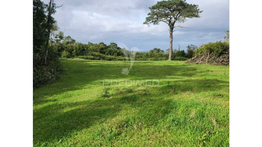 Terreno para Venda em Bandeiras Foto 4