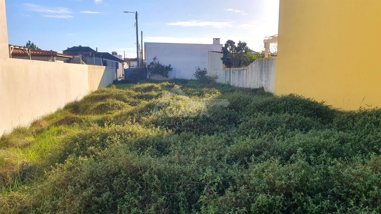 Terreno para Venda em Ovar, São João, Arada e São Vicente de Pereira Jusã Foto 3