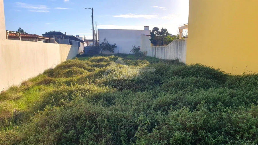 Terreno para Venda em Ovar, São João, Arada e São Vicente de Pereira Jusã Foto 3