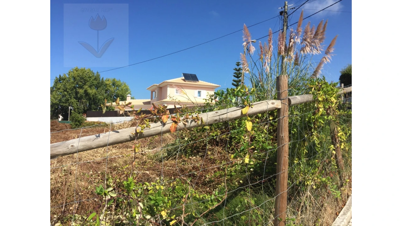 Terreno para Venda em Colares Foto 1