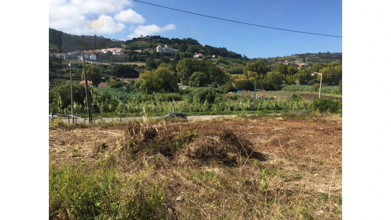 Terreno para Venda em Colares Foto 2