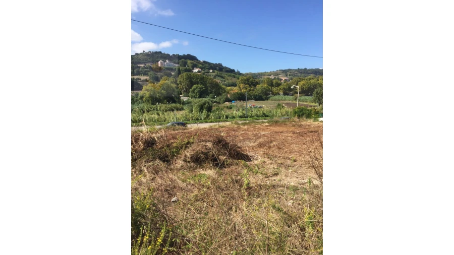 Terreno para Venda em Colares Foto 3