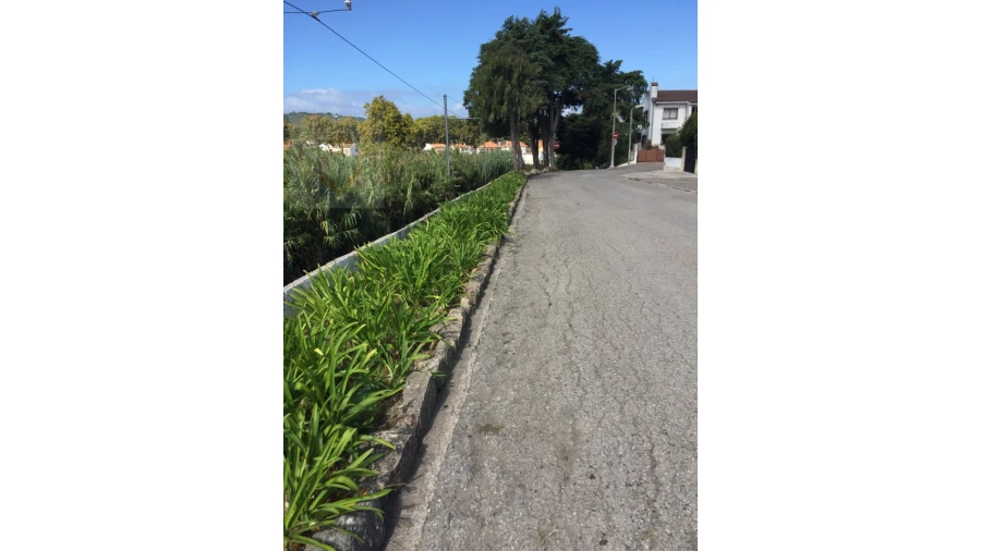 Terreno para Venda em Colares Foto 5