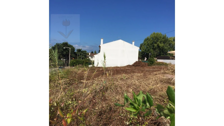 Terreno para Venda em Colares Foto 4