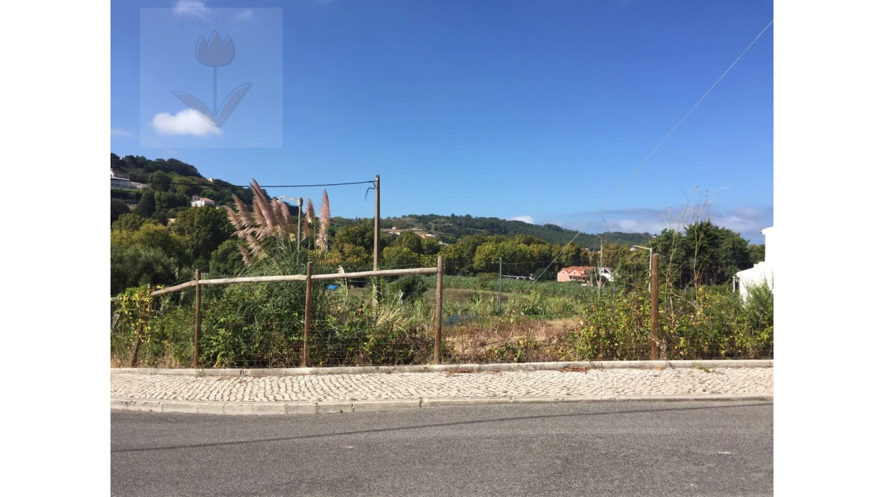 Terreno para Venda em Colares Foto 3