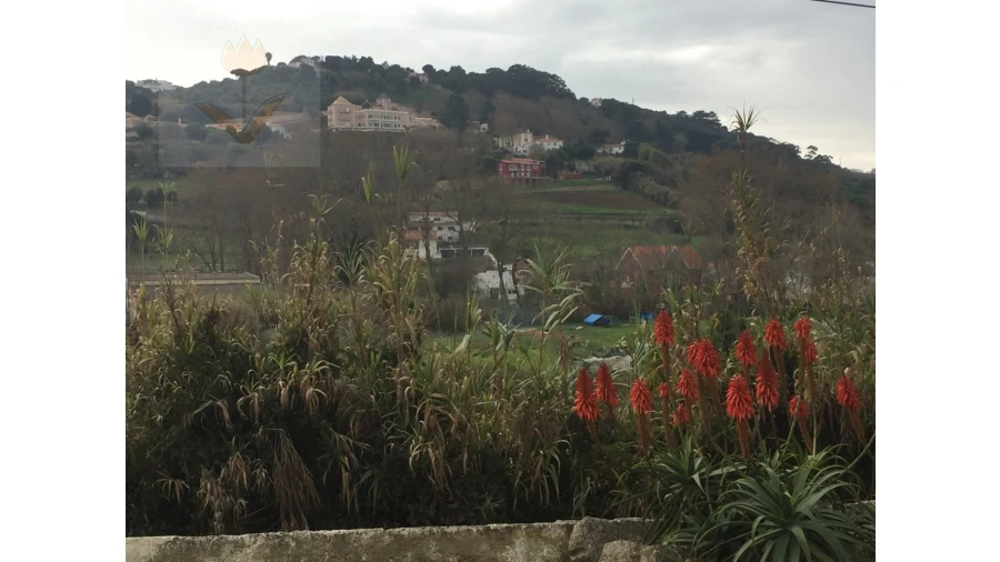 Terreno para Venda em Colares Foto 5
