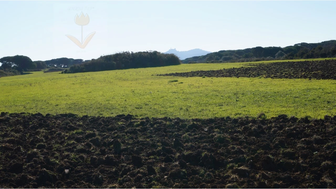 Terreno para Venda em São João das Lampas e Terrugem Foto 1
