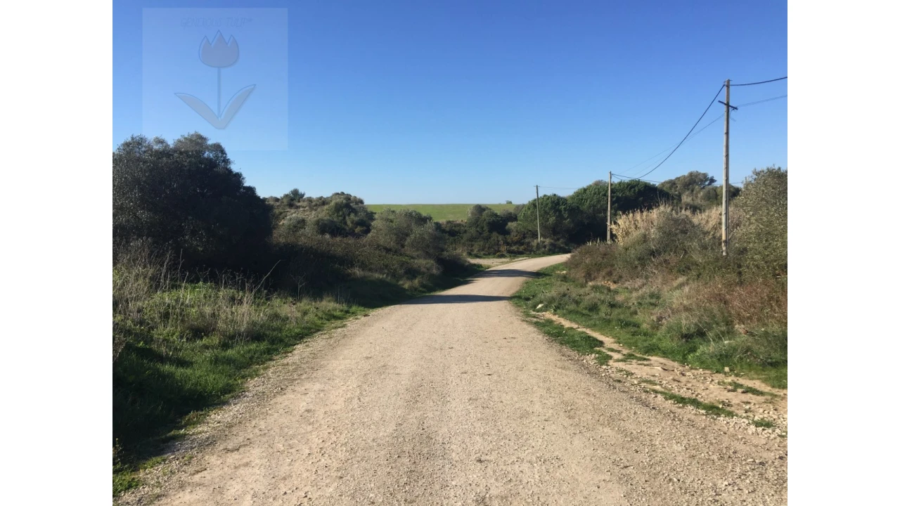 Terreno para Venda em São João das Lampas e Terrugem Foto 6