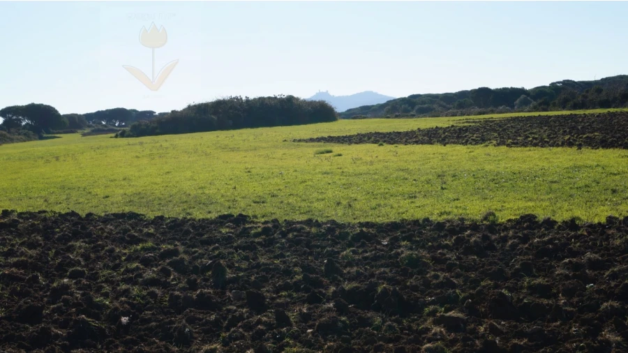 Terreno para Venda em São João das Lampas e Terrugem Foto 1
