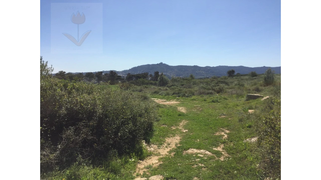 Terreno para Venda em Santa Maria e São Miguel, São Martinho, São Pedro Penaferrim Foto 1