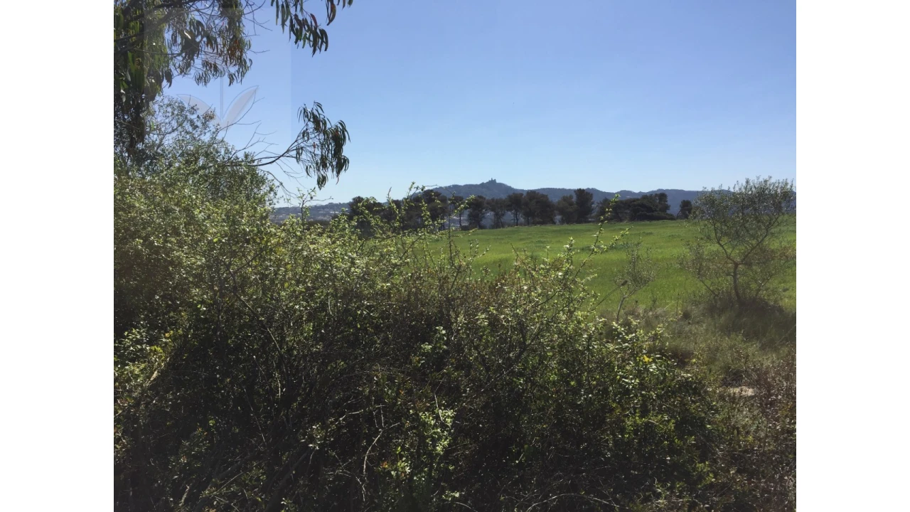 Terreno para Venda em Santa Maria e São Miguel, São Martinho, São Pedro Penaferrim Foto 2
