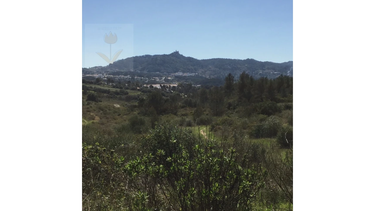 Terreno para Venda em Santa Maria e São Miguel, São Martinho, São Pedro Penaferrim Foto 6