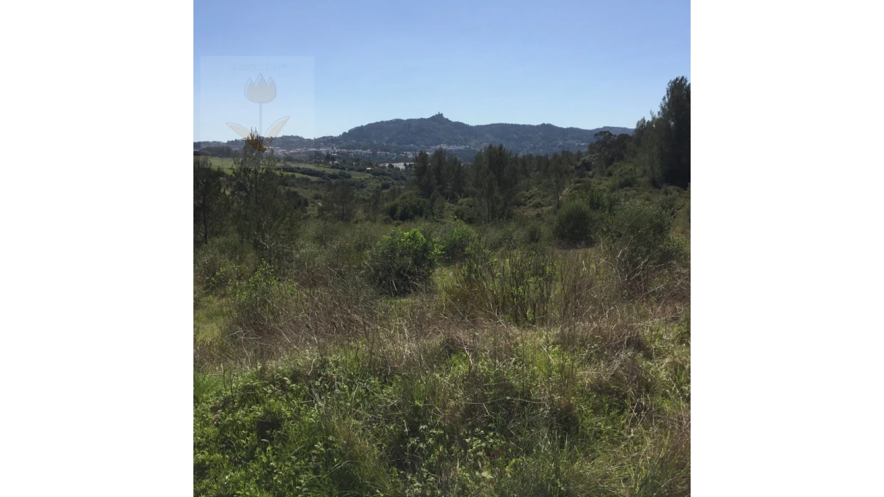 Terreno para Venda em Santa Maria e São Miguel, São Martinho, São Pedro Penaferrim Foto 9