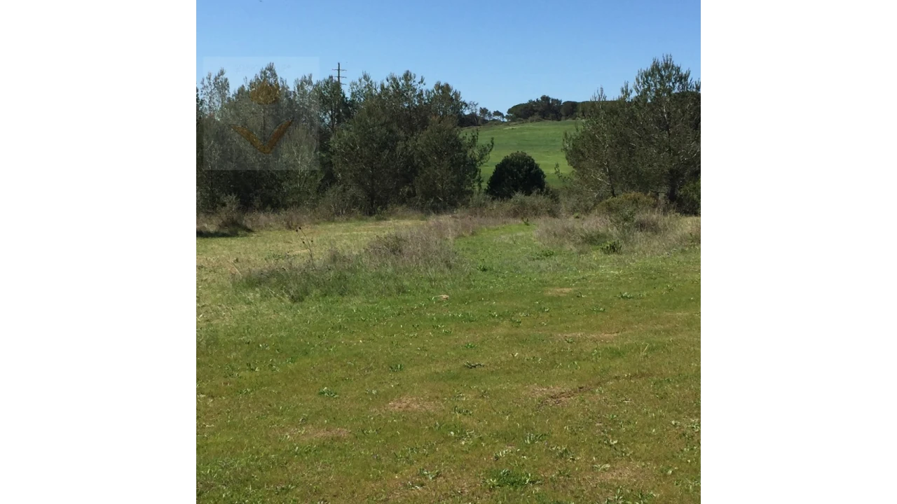 Terreno para Venda em Santa Maria e São Miguel, São Martinho, São Pedro Penaferrim Foto 16