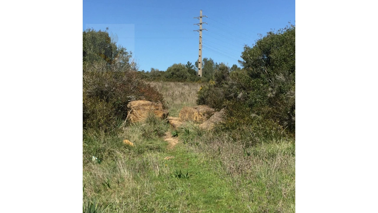 Terreno para Venda em Santa Maria e São Miguel, São Martinho, São Pedro Penaferrim Foto 17