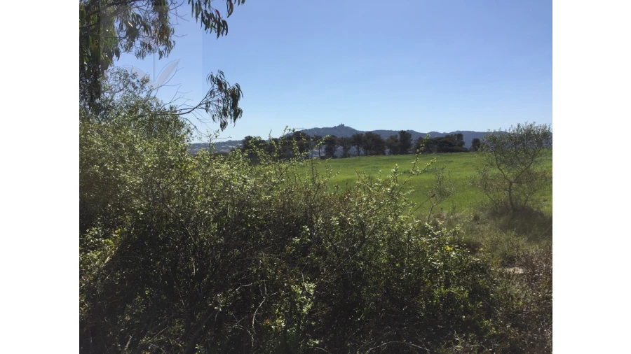 Terreno para Venda em Santa Maria e São Miguel, São Martinho, São Pedro Penaferrim Foto 2