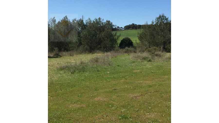 Terreno para Venda em Santa Maria e São Miguel, São Martinho, São Pedro Penaferrim Foto 16