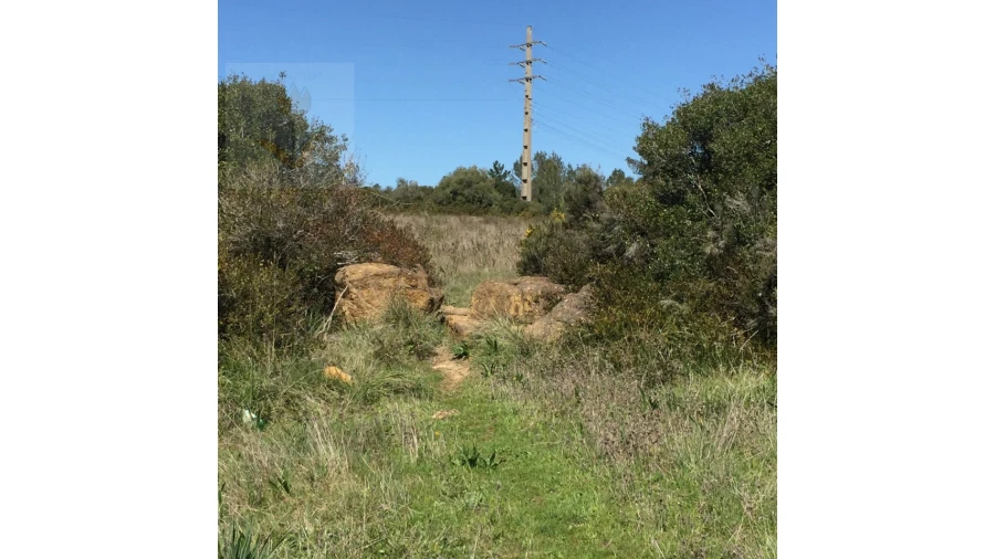 Terreno para Venda em Santa Maria e São Miguel, São Martinho, São Pedro Penaferrim Foto 17