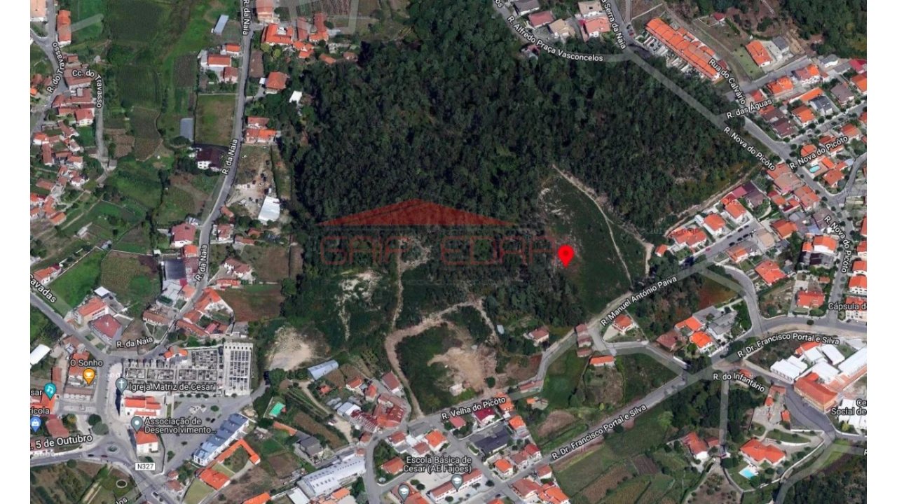 Terreno para Venda em Cesar Foto 5