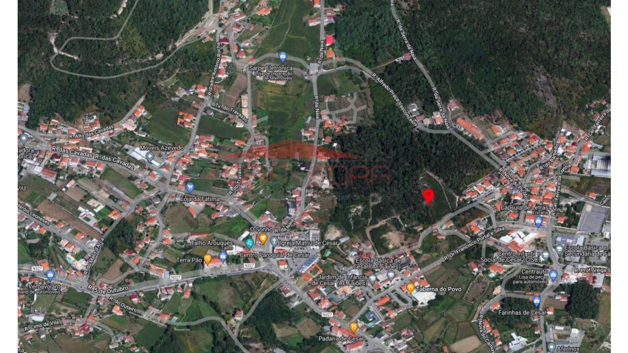 Terreno para Venda em Cesar Foto 6