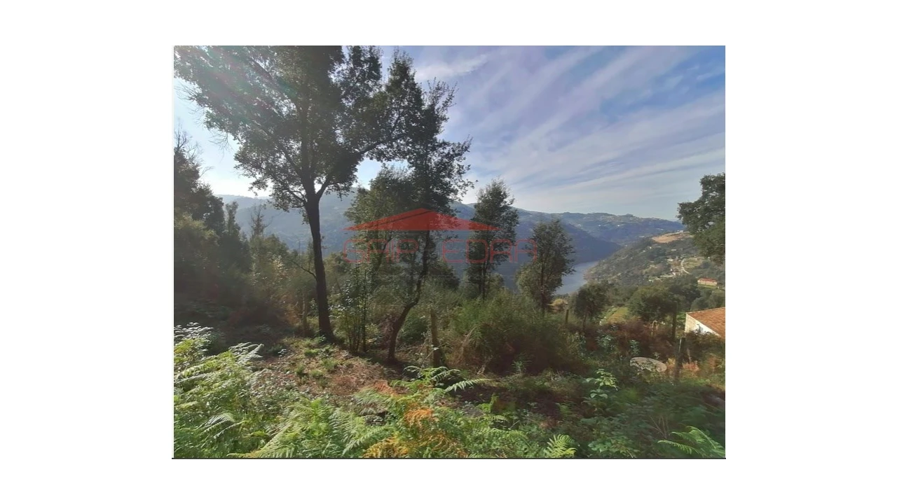 Moradia T3 para Venda em Penhalonga e Paços de Gaiolo Foto 3