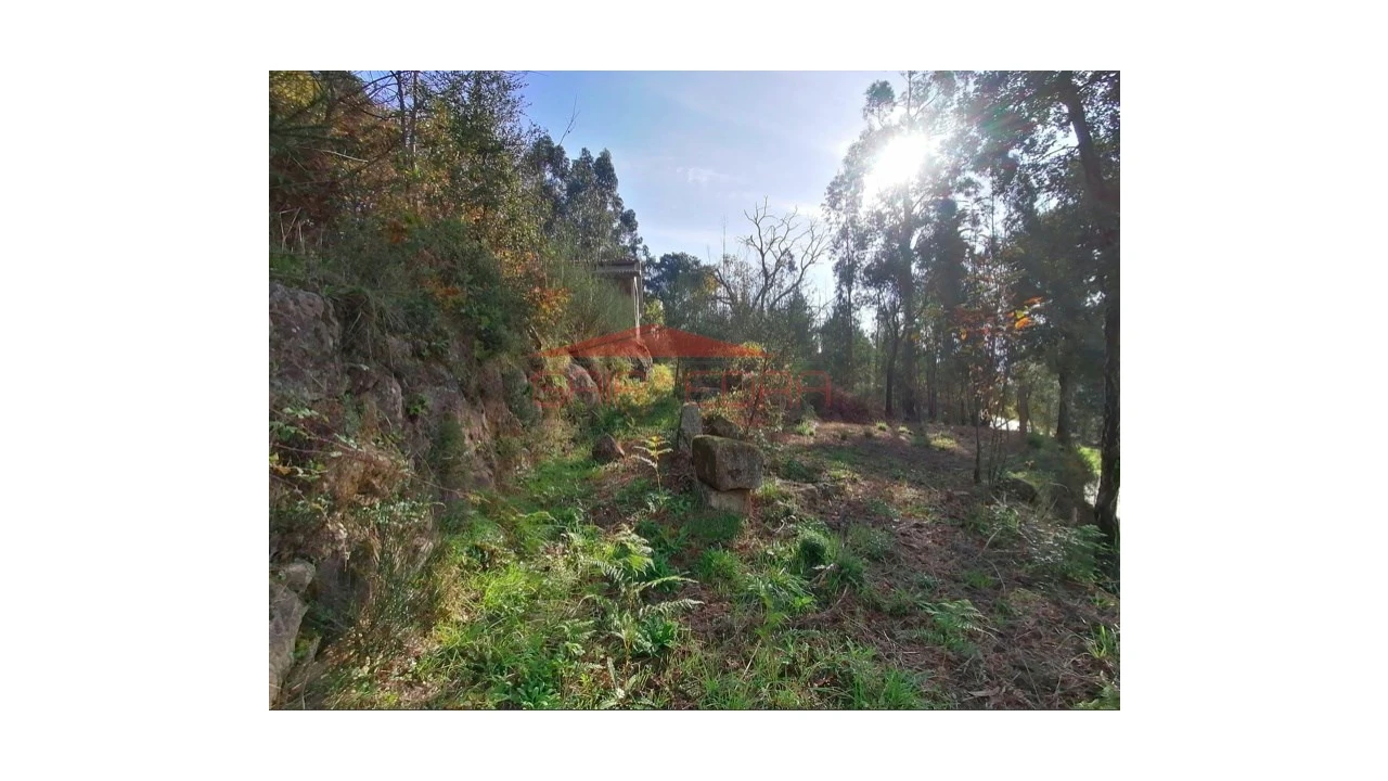 Moradia T3 para Venda em Penhalonga e Paços de Gaiolo Foto 4