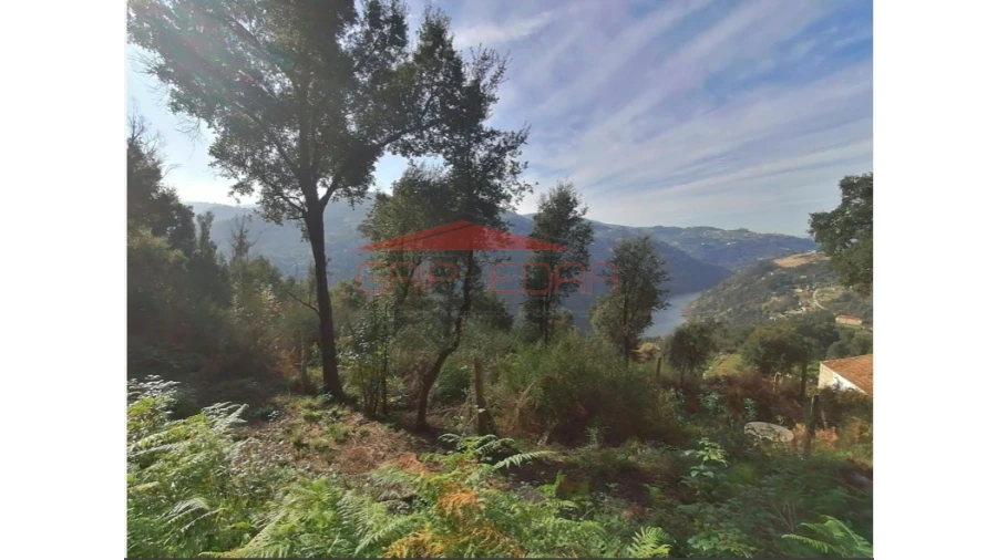 Moradia T3 para Venda em Penhalonga e Paços de Gaiolo Foto 3