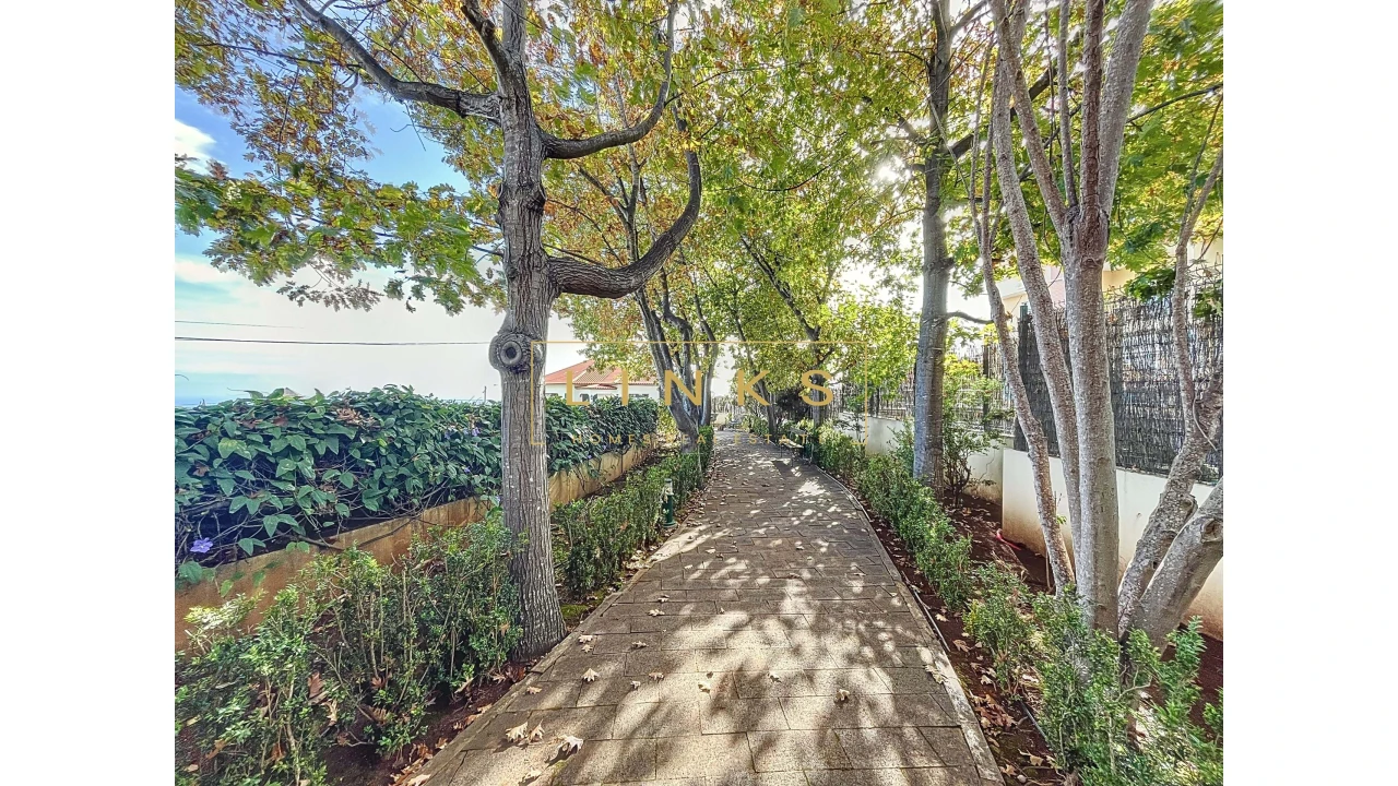 Quinta T5 para Venda em Canhas Foto 20