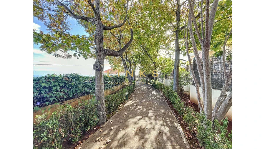 Quinta T5 para Venda em Canhas Foto 20