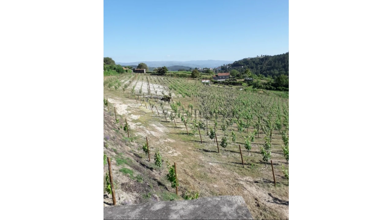 Terreno para Venda em Gove Foto 5