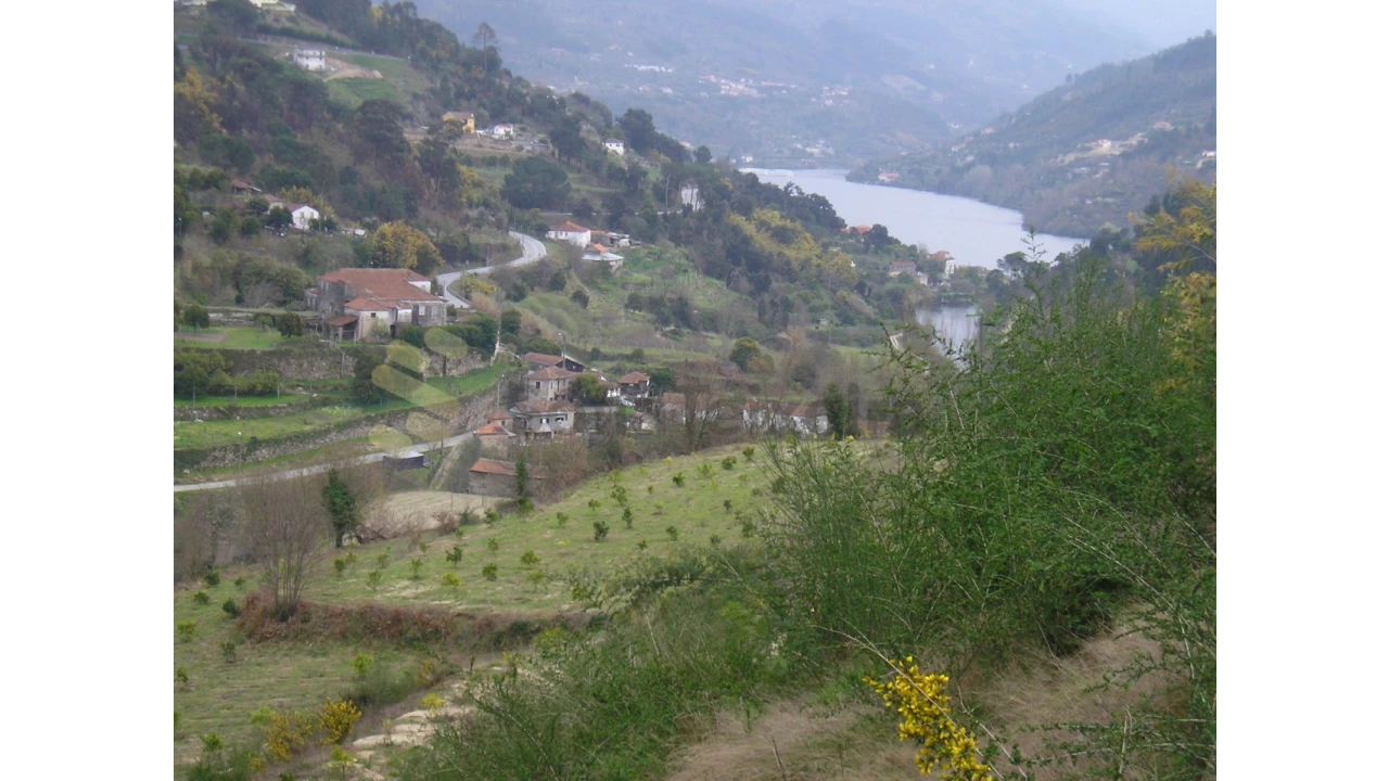 Quinta T5 para Venda em Penhalonga e Paços de Gaiolo Foto 1