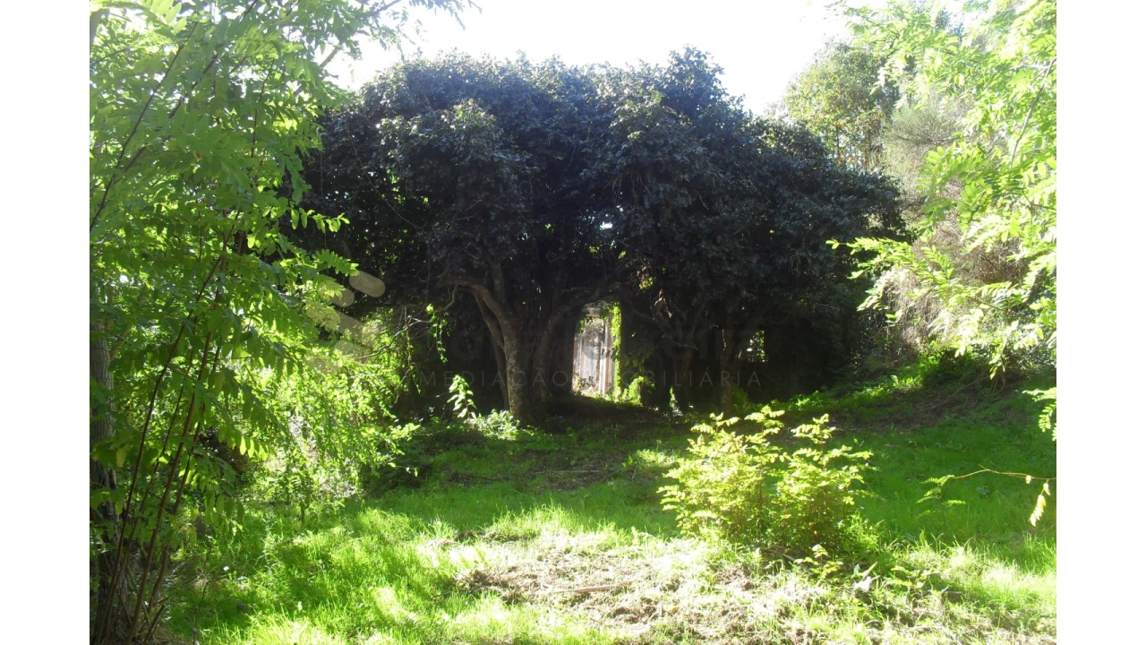 Quinta T5 para Venda em Penhalonga e Paços de Gaiolo Foto 18