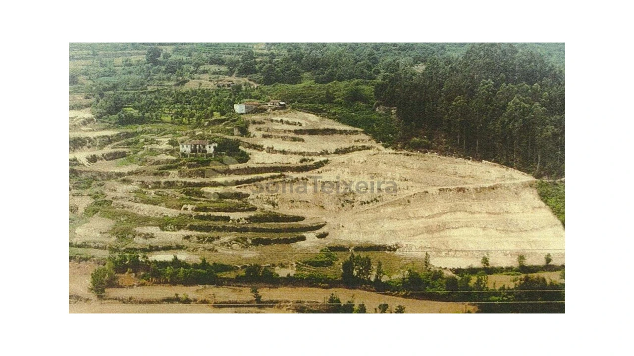 Quinta T5 para Venda em Penhalonga e Paços de Gaiolo Foto 3