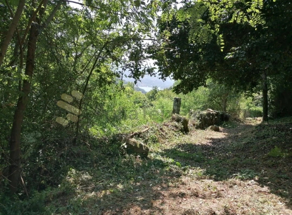 Quinta T5 para Venda em Penhalonga e Paços de Gaiolo Foto 29